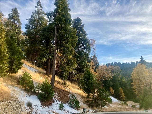 Lake Arrowhead, CA 92352,285 Hidden Forest RD