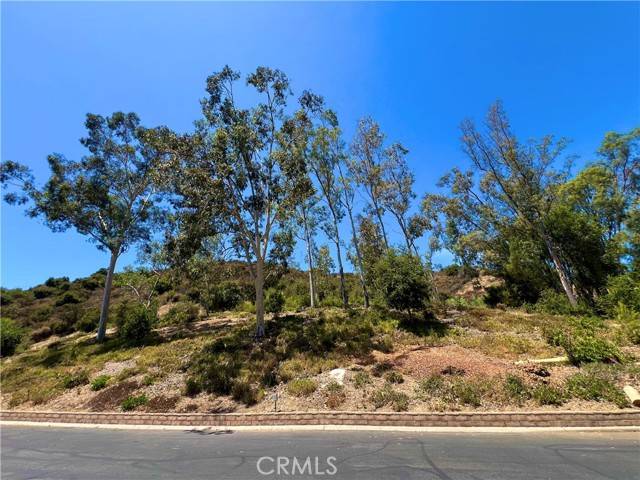 Calabasas, CA 91302,23777 Mulholland Hwy Spc 42