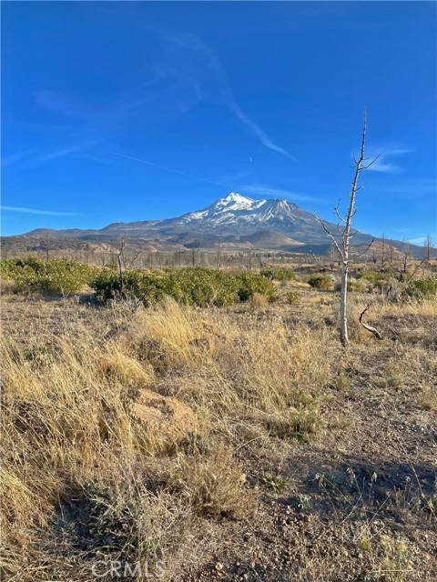 Weed, CA 96094,0 Juniper Valley DR