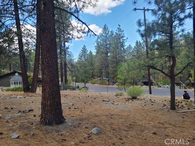 Wrightwood, CA 92397,0 Lodgepole DR