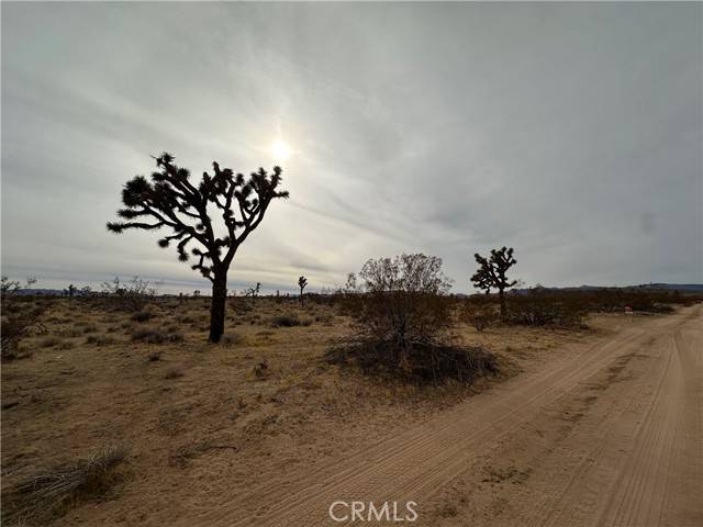 Yucca Valley, CA 92284,1 Canterbury