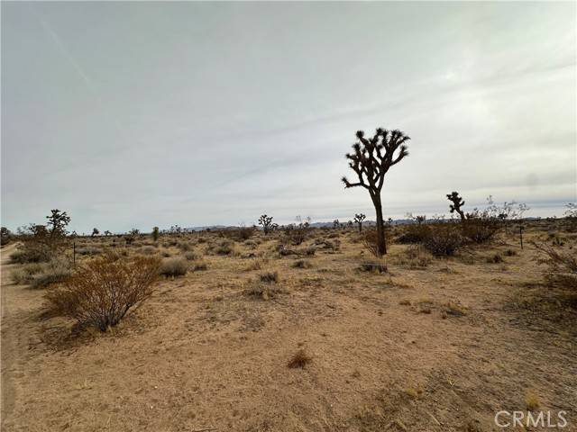 Yucca Valley, CA 92284,0 Canterbury