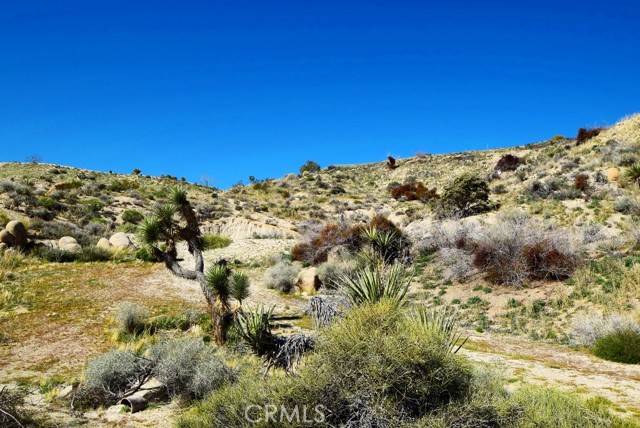 Yucca Valley, CA 92284,5996 Buena Suerte RD