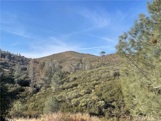 Mariposa, CA 95338,4747 Bear Valley RD