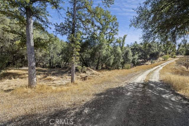 Oakhurst, CA 93644,0 39.29 AC Village DR