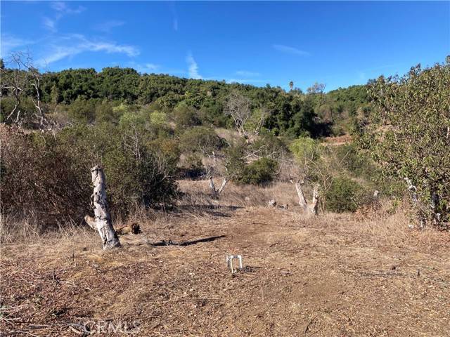 Temecula, CA 92590,10 Carancho RD
