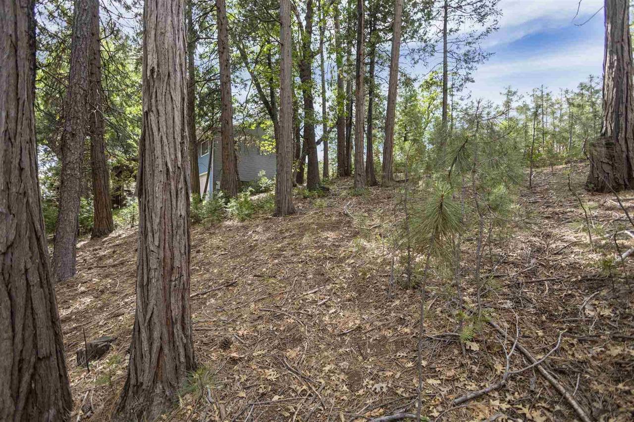 Twain Harte, CA 95383,Lot 28 Confidence