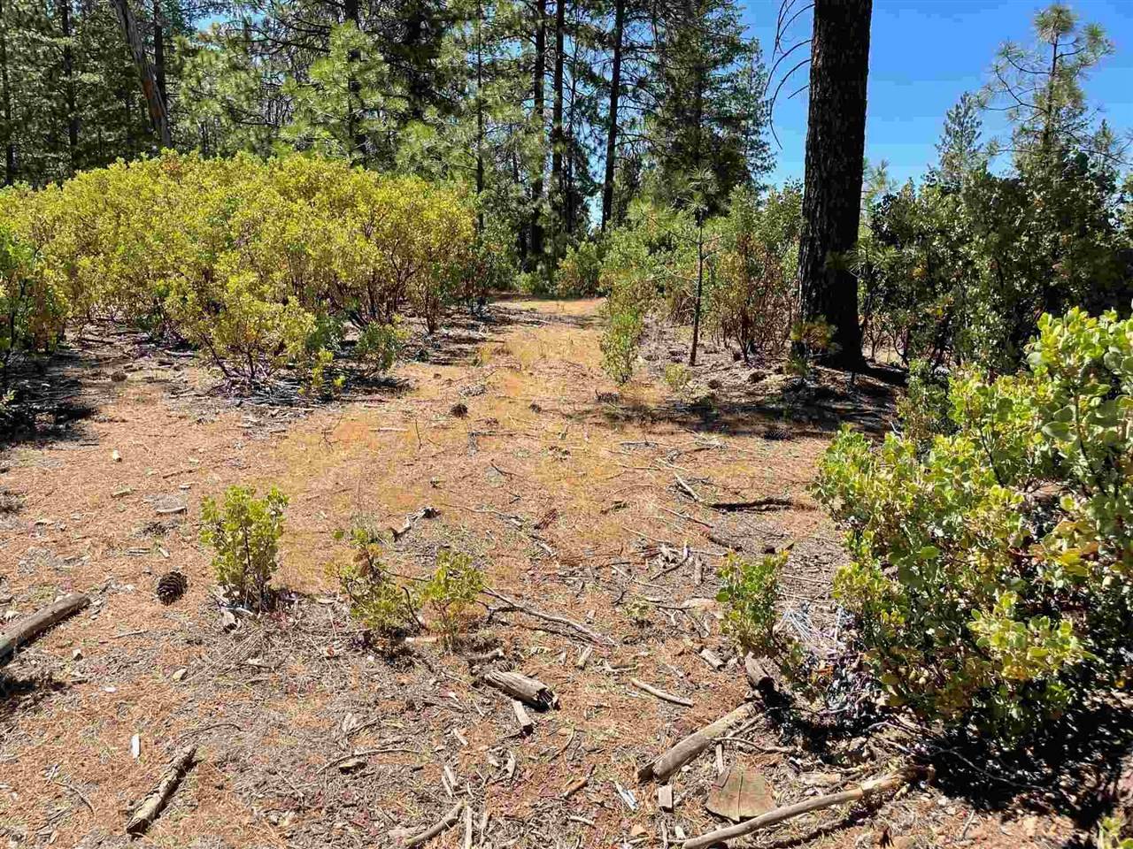 Groveland, CA 95321,Hwy 120