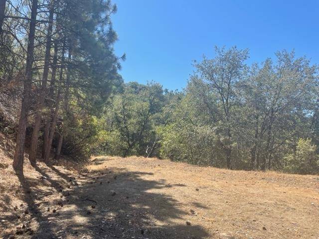 Sonora, CA 95370