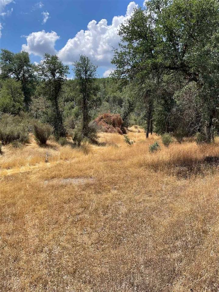 Coultervil, CA 95311,10217 Bull Creek Rd 2S05