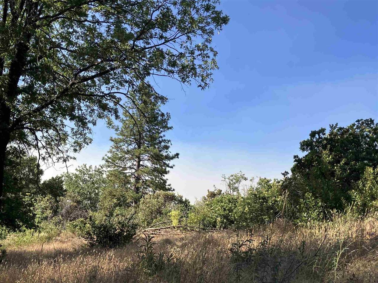 Mariposa, CA 95345-0000,4720 Carstens Rd. Mid PNES
