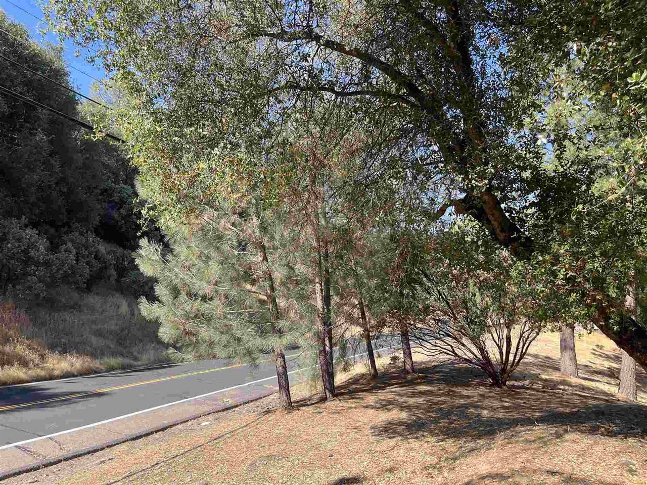 Groveland, CA 95321,7-68 Ferretti Rd
