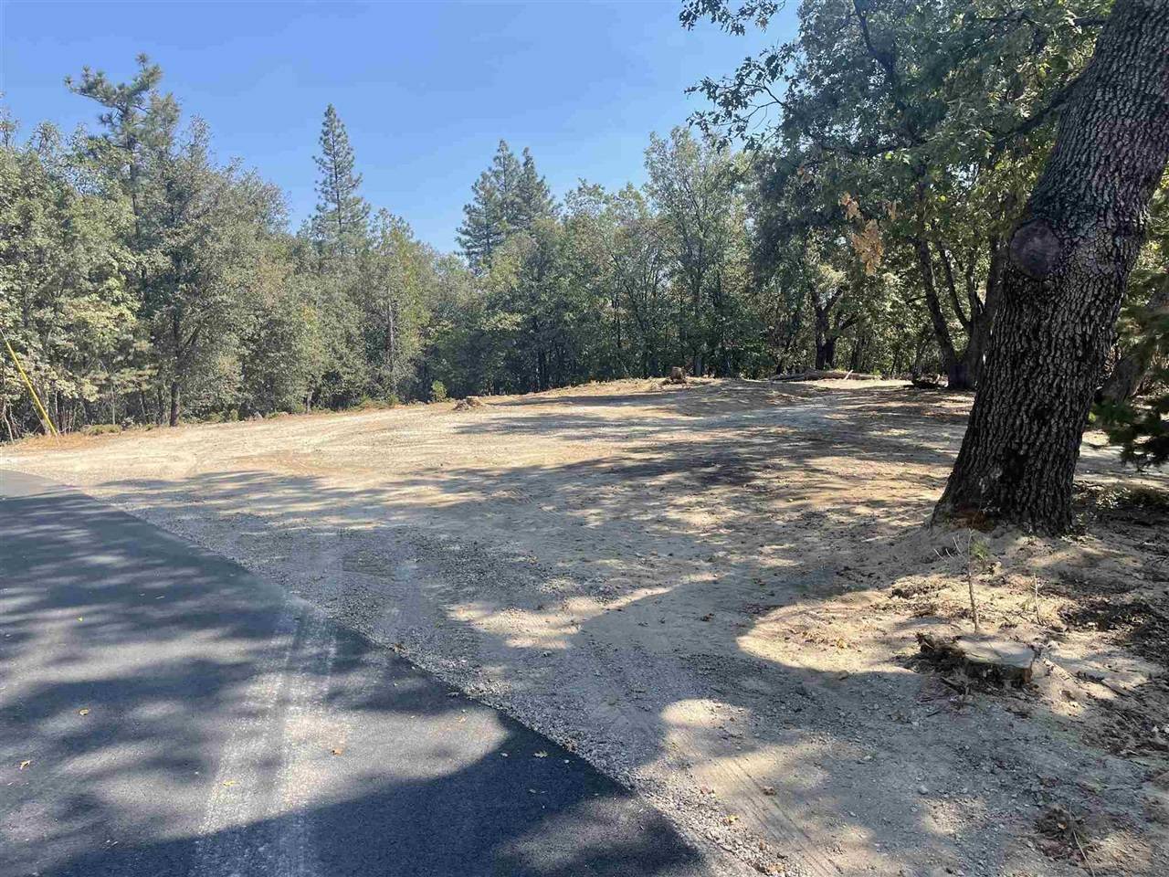 Sonora, CA 95370,22919 Lazy Z LN