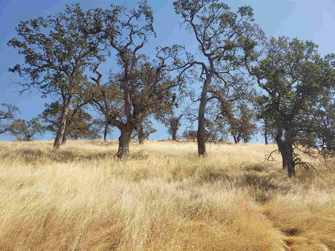 La Grange, CA 95329,9790 Caracol