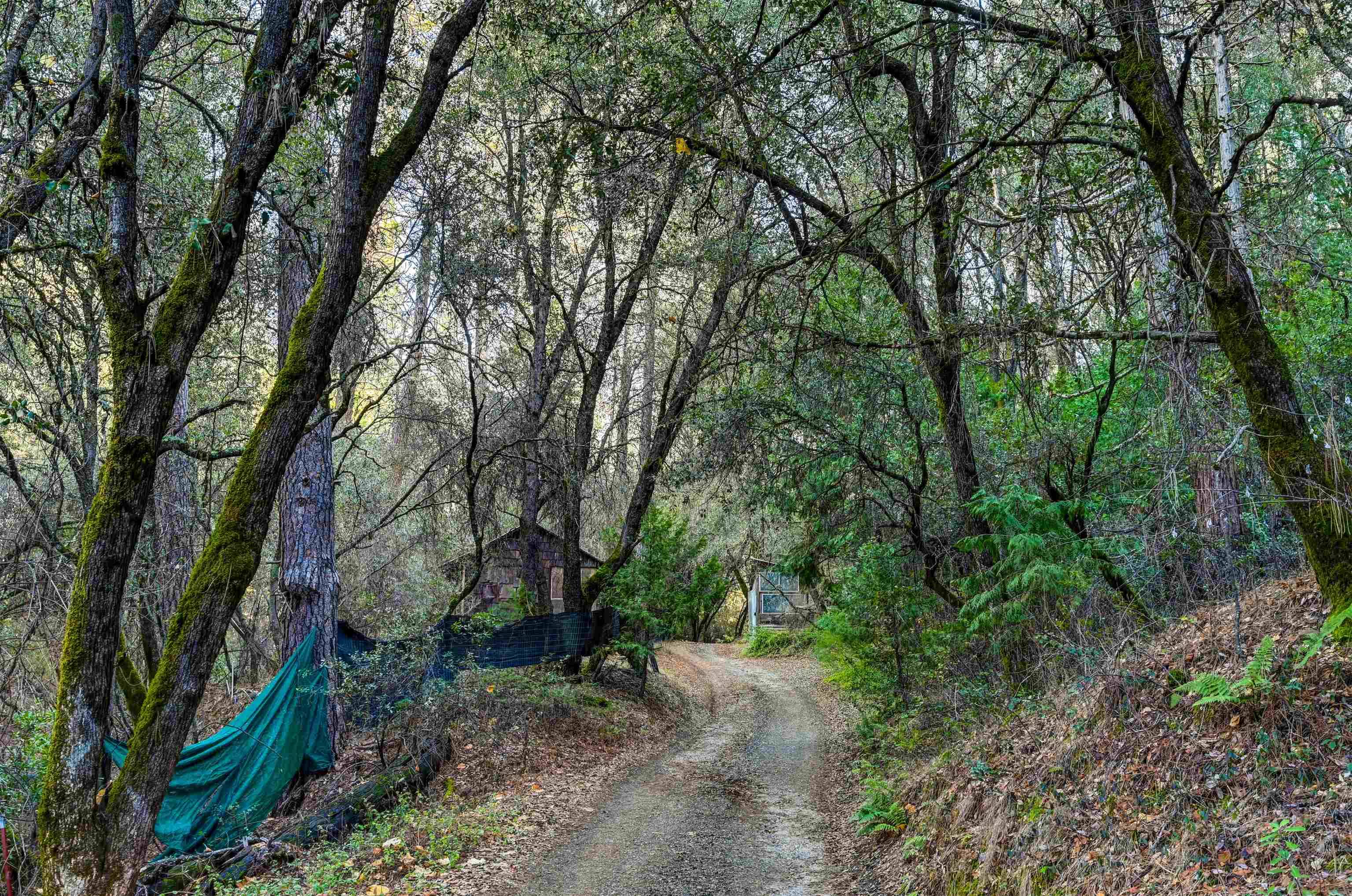 Sonora, CA 95370,21901 Marcus Ln