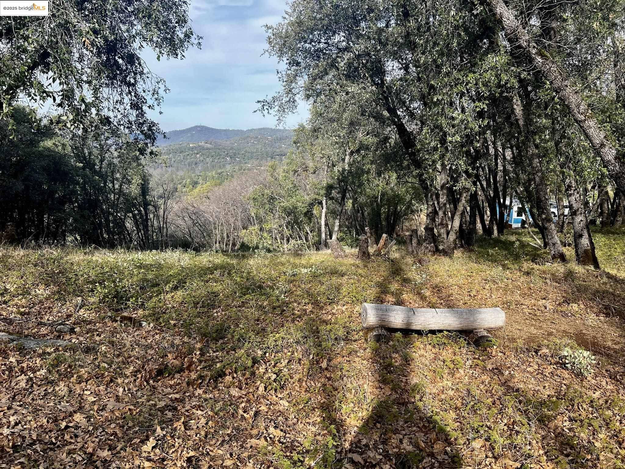 Sonora, CA 95370,17401 Deer Park CT