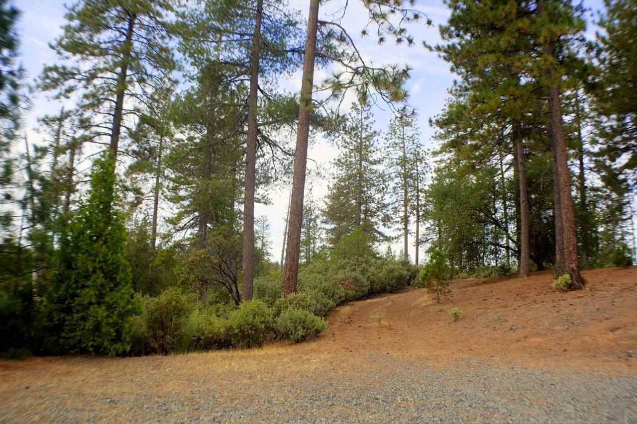 Groveland, CA 95321,19185 Timber Ridge Rd