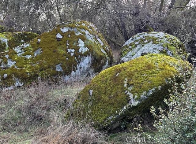 Mariposa, CA 95338,0 Daffodil DR