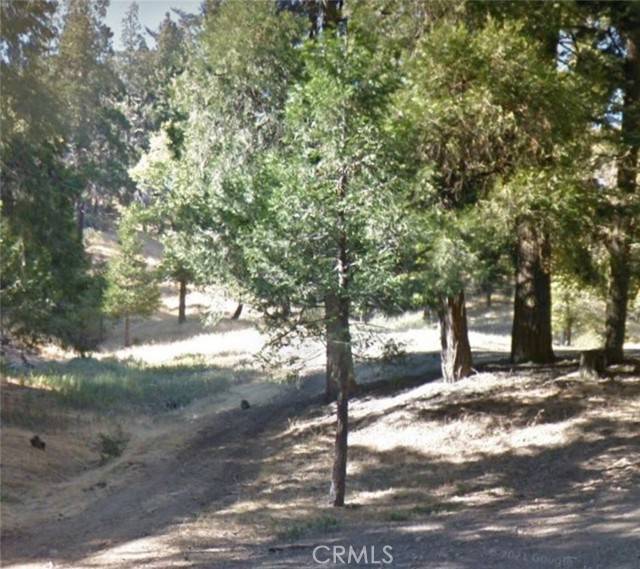 Cedarpines Park, CA 92322,0 Burnt Mill Canyon RD