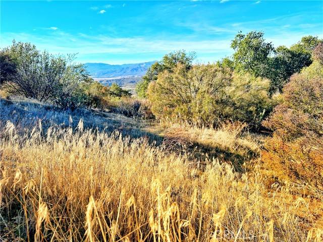 Warner Springs, CA 92086,0 Camino Ortega