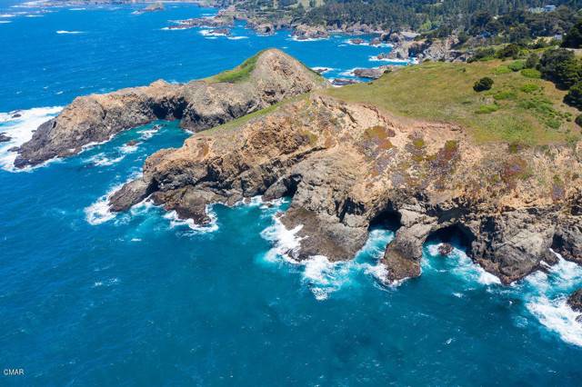 Little River, CA 95456,50500 Buckhorn Cove RD