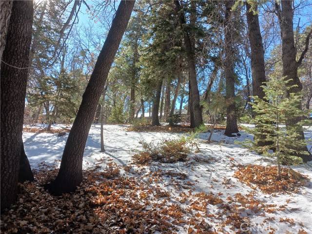 Big Bear City, CA 92314,0 Columbine DR