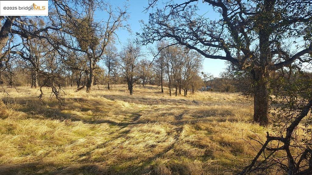 La Grange, CA 95329,Lot 885 Ladera WAY