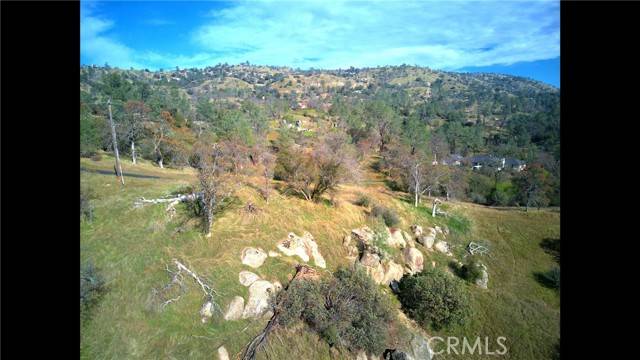 Coarsegold, CA 93614,1 Sequoia CT