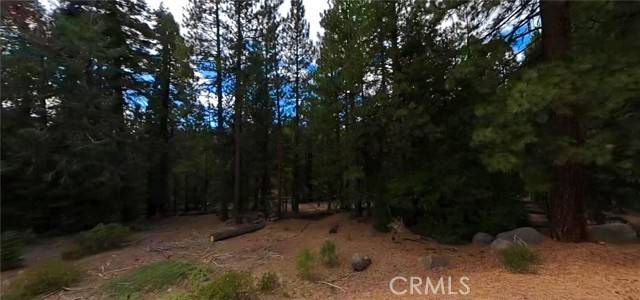 Alturas, CA 96101,0 California Pines BLD