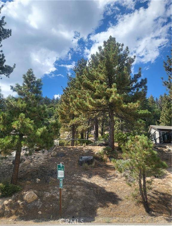 Fawnskin, CA 92333,0 North Shore DR