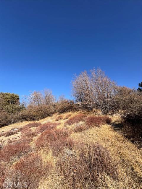 Cedar Glen, CA 92321,29685 Hickory DR