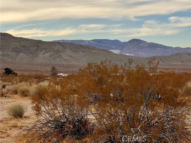 Johnson Valley, CA 92285,0 Ocotillo RD