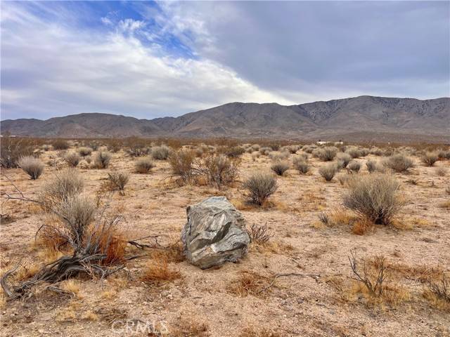 Johnson Valley, CA 92285,0 Ocotillo RD