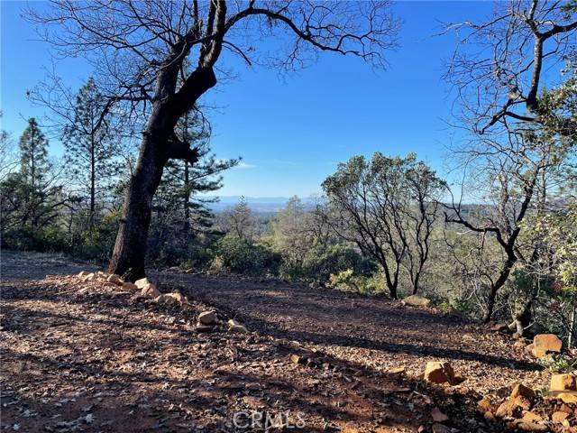 Oroville, CA 95966,0 Bandit LN