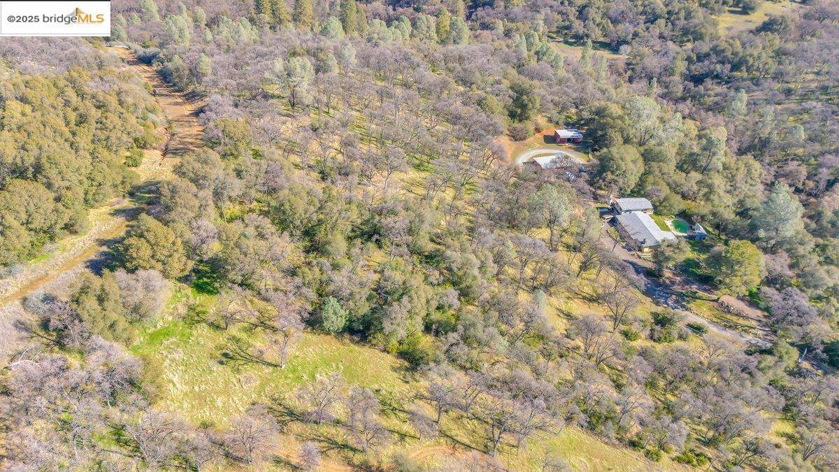 Sonora, CA 95370-5350,0000 Ivy LN