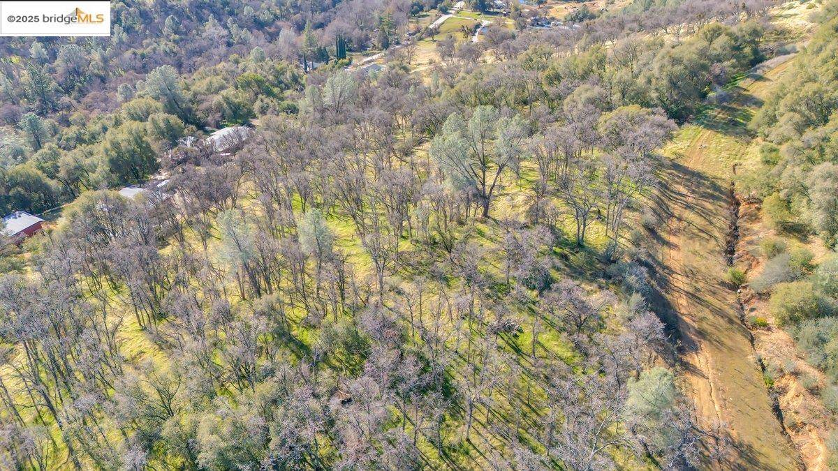Sonora, CA 95370-5350,0000 Ivy LN