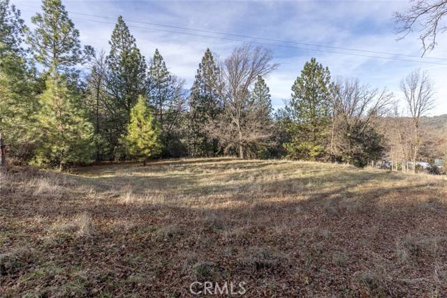 Mariposa, CA 95338,1839 Appleseed LN