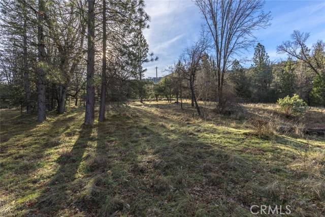Mariposa, CA 95338,1839 Appleseed LN