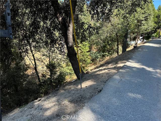 Crestline, CA 92325,24960 Saxon DR