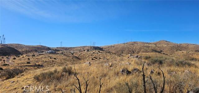 Acton, CA 93510,0 Richter LN