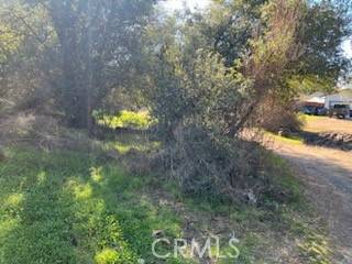 Clearlake, CA 95422,14212 Woodland DR