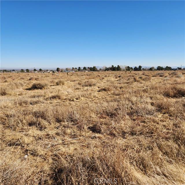 Phelan, CA 92371,0 Coyote RD