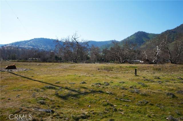 Sanger, CA 93657,333 Lot, Live Oak Dr