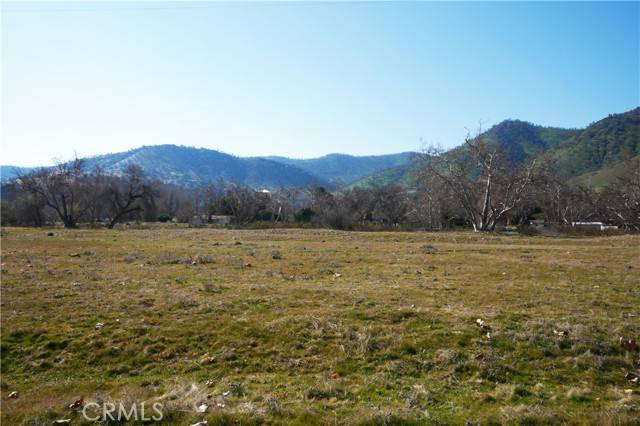 Sanger, CA 93657,334 Lot, Live Oak Dr