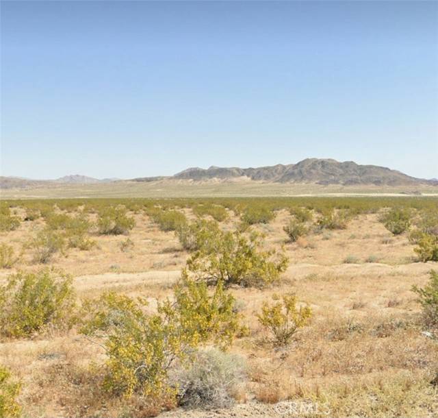 Johnson Valley, CA 92285,800 Firethorn WAY