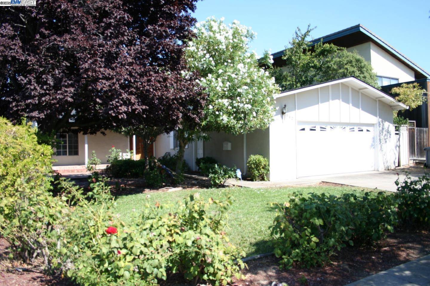 Cupertino, CA 95014,842 S Blaney Ave