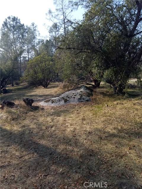 Coarsegold, CA 93614,0 Lot 856 Deep Forest DR