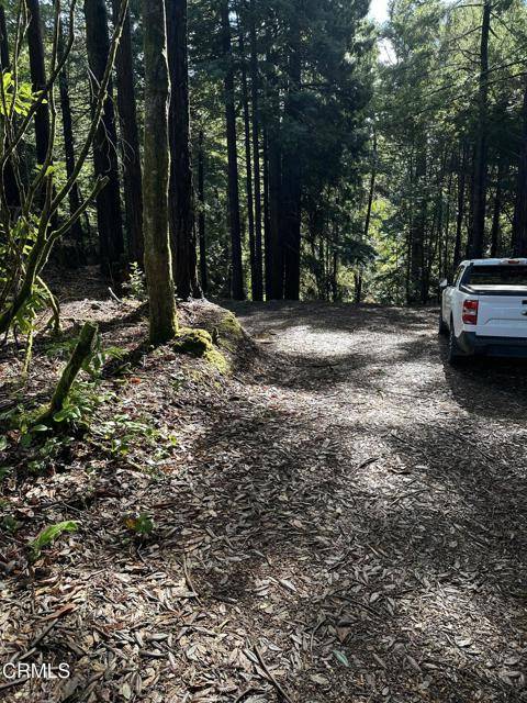 Fort Bragg, CA 95437,17500 Redwood Springs DR