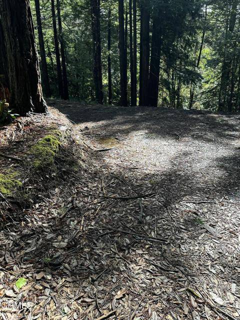 Fort Bragg, CA 95437,17500 Redwood Springs DR