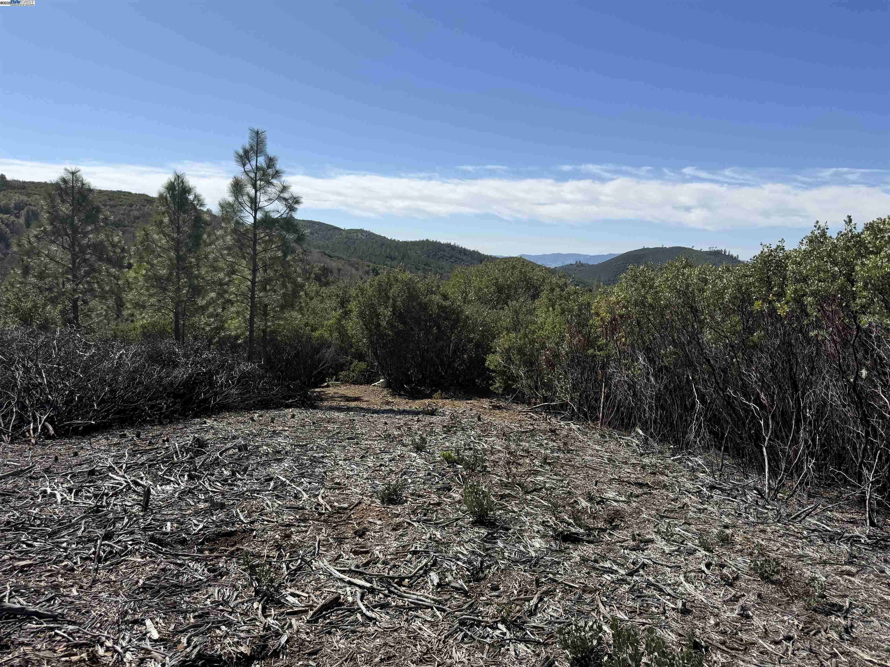 Murphys, CA 95247,0000 ESMERALDA RD